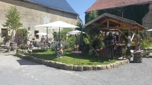 European Self Drive Grand Tour — photo 97