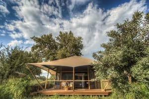 Namibia & Botswana Self Drive Safari: Etosha To Chobe — photo 17