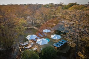Namibia & Botswana Self Drive Safari: Etosha To Chobe — photo 18